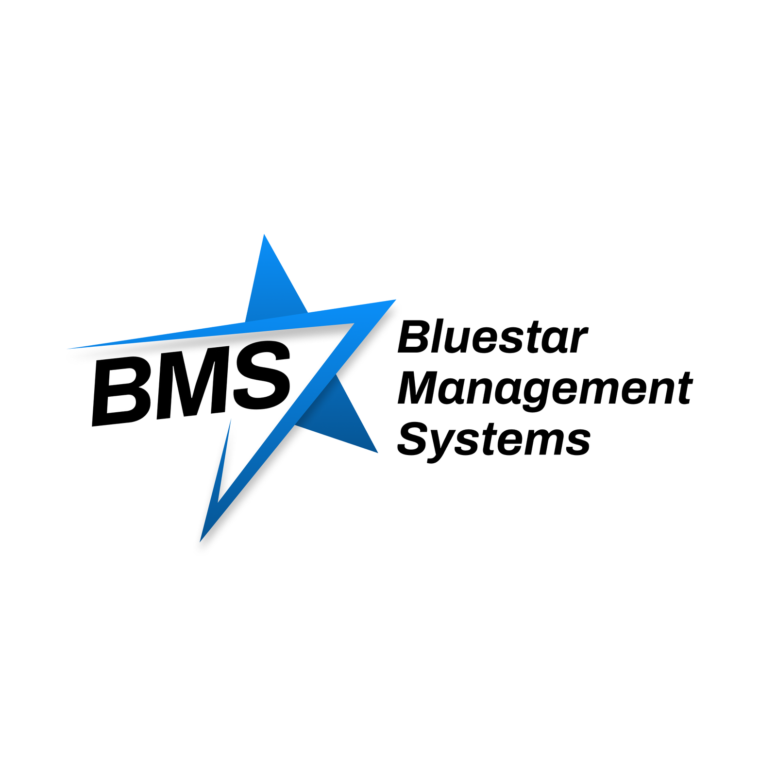 Logo BlueStar Management Systems